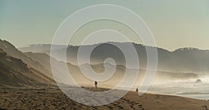 A Misty Morning at Fort Ord Dunes State Park