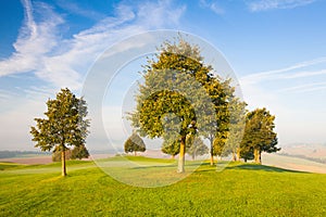 Misty morning on a golf course