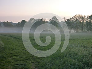 Misty morning in a grass walley