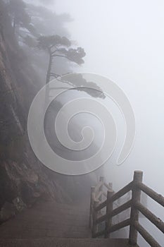 Misty morning in the Huangshan Mountain (Yellow Mountain), China
