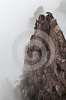 Misty morning in the Huangshan Mountain (Yellow Mountain), China