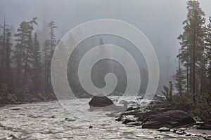 Misty morning on the Kicking Horse Rive