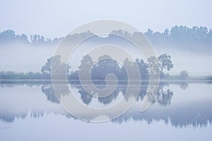 Nebbioso mattina secondo pace Acqua nebbia un riflessi da alberi Specchio 