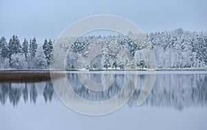 Misty morning.Lake near frozen forest. Panoramic view.