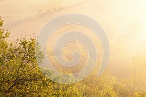 Misty morning in landscape