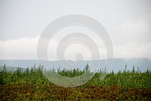 Misty morning mountain view