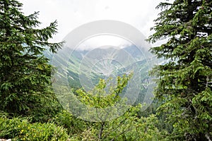 Misty morning mountain view