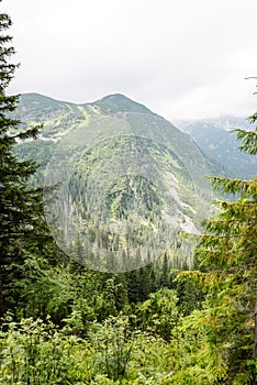 Misty morning mountain view