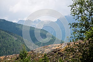 Misty morning mountain view