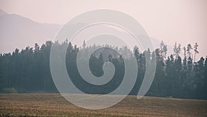 Misty morning mountain view - vintage film look