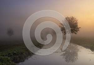 Misty morning near Giessenburg