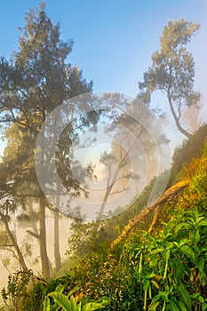 Misty morning at Penanjakan 1 Bromo