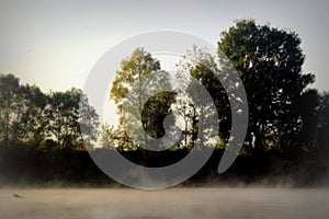 Misty morning on the river