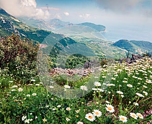 Misty morning seascape of Adriatic sea with Petrovac town on background. Green summer view of Montenegro countryside. Beautiful