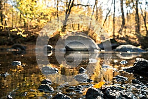 A misty morning at a small lake with a calm blue lake and stones and trees in the foreground and the sunrise behind the forest in