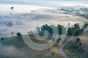 Misty morning sunrise in mountain at Khao-kho Phetchabun,Thailan