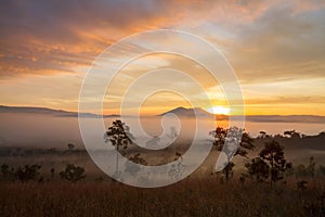 Misty morning sunrise at Thung Salang Luang National Park Phetchabun,Thailand