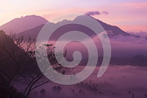 Misty morning view in the mountain at sunrise. Light pink natural abstract nature landscape background