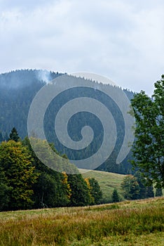 Hmlisté ranné zobrazenie v mokrej horskej oblasti v slovenských Tatrách. jesenné farebné lesy