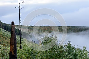 Hmlisté ranné zobrazenie v mokrej horskej oblasti v slovenských Tatrách. jesenné farebné lesy