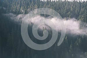 Misty morning view in wet mountain area in slovakian tatra. autumn colored forests - vintage film look