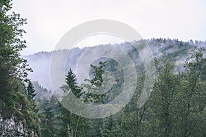 Hmlisté ranné zobrazenie v mokrej horskej oblasti v slovenských Tatrách. jesenné farebné lesy - vzhľad vintage filmu