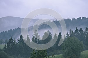 Misty morning view in wet mountain area in slovakian tatra. autumn colored forests - vintage film look