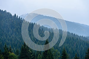 Misty morning view in wet mountain area in slovakian tatra. autumn colored forests