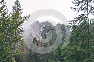 Misty morning view in wet mountain area in slovakian tatra. autumn colored forests - vintage film look