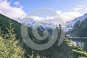 Misty morning view in wet mountain area in slovakian tatra. autumn colored forests - vintage film look