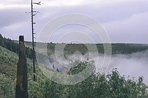 Misty morning view in wet mountain area in slovakian tatra. autumn colored forests - vintage film look