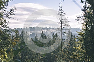 Misty morning view in wet mountain area in slovakian tatra. autumn colored forests - vintage film look