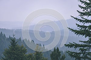 Misty morning view in wet mountain area in slovakian tatra. autumn colored forests - vintage film look