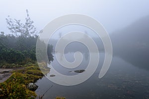 Mlhavé ráno pohled v mokré horské oblasti ve slovenských Tatrách. panorama horského jezera