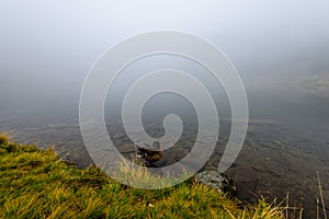 Mlhavé ráno pohled v mokré horské oblasti ve slovenských Tatrách. panorama horského jezera