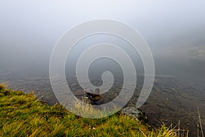 Hmlisté ranné zobrazenie v mokrej horskej oblasti v slovenských Tatrách. panoráma horského jazera