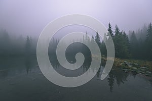 Misty morning view in wet mountain area in slovakian tatra. mountain lake panorama - vintage film look