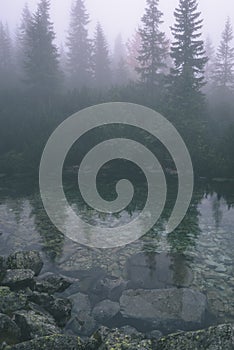 Misty morning view in wet mountain area in slovakian tatra. mountain lake panorama - vintage film look