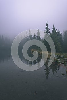 Mlhavé ráno pohled v mokré horské oblasti ve slovenských Tatrách. panorama horského jezera - vzhled vintage filmu