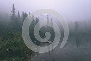 Misty morning view in wet mountain area in slovakian tatra. mountain lake panorama - vintage film look