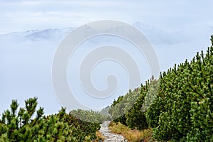 Misty morning view in wet mountain area in slovakian tatra. tour