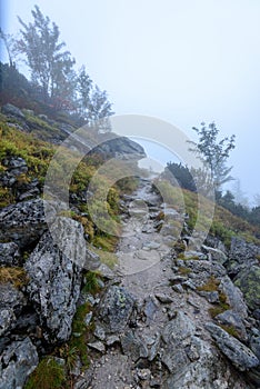 Hmlisté ranné zobrazenie v mokrej horskej oblasti v slovenských Tatrách. prehliadka