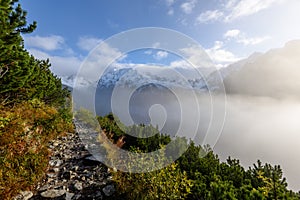 Hmlisté ranné zobrazenie v mokrej horskej oblasti v slovenských Tatrách. prehliadka
