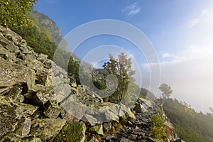 Misty morning view in wet mountain area in slovakian tatra. tour