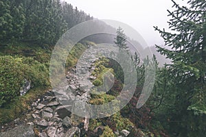 Misty morning view in wet mountain area in slovakian tatra. tour