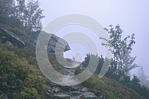 Misty morning view in wet mountain area in slovakian tatra. tour