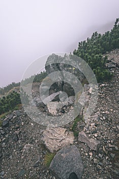 Misty morning view in wet mountain area in slovakian tatra. tour