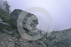 Misty morning view in wet mountain area in slovakian tatra - vintage film look