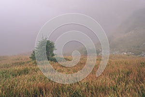 Misty morning view in wet mountain area in slovakian tatra - vintage film look