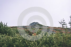 Misty morning view in wet mountain area in slovakian tatra - vintage film look